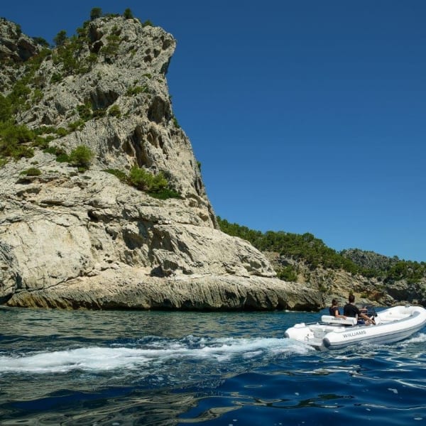 Williams Sportjet Tender 520