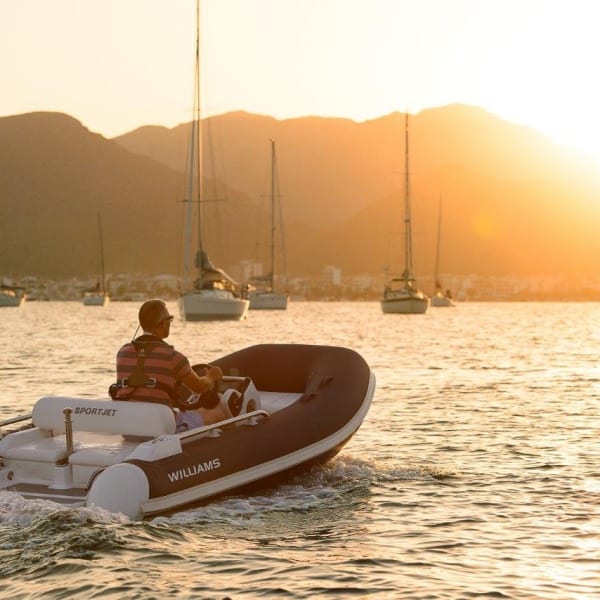 Williams Sportjet tender 345