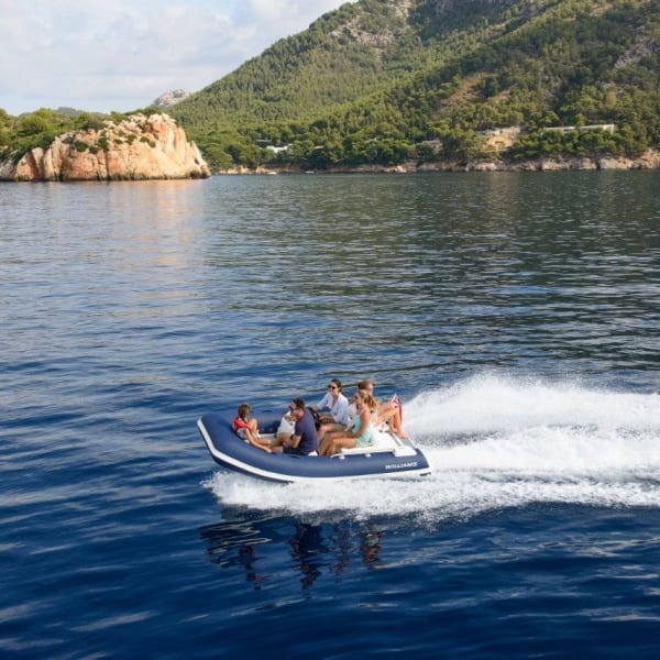 Williams Sportjet Tender 345
