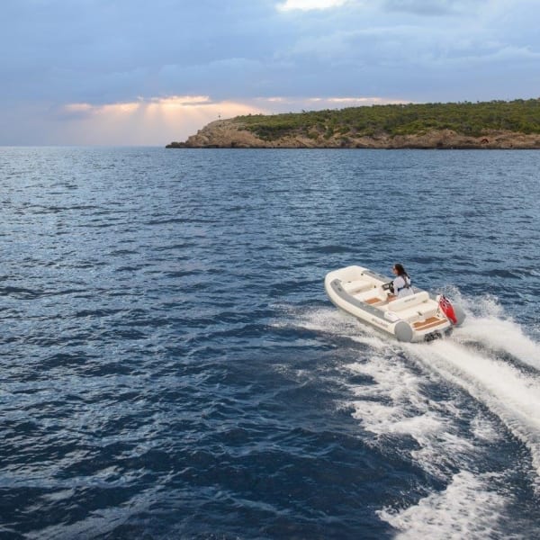 Williams Sportjet Tender 395