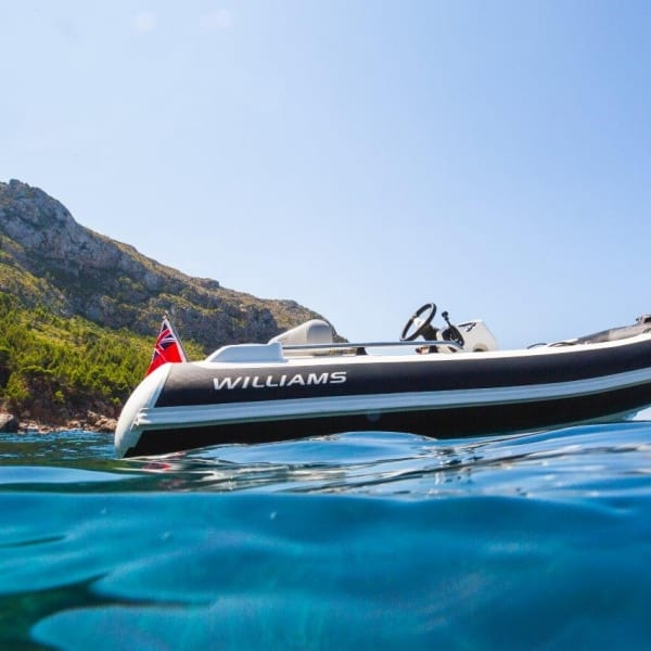 Williams Sportjet Tender 435