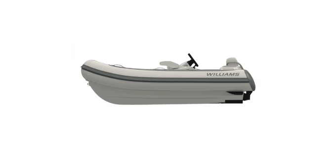 Williams Turbojet 325 for sale